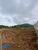 Terreno, 516 m² - Foto 6