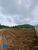 Terreno, 516 m² - Foto 3
