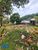 Terreno, 252 m² - Foto 2
