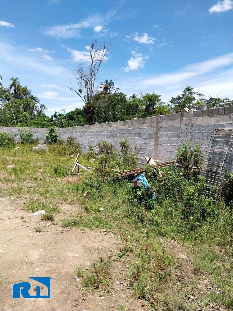 Terreno, 300 m² - Foto 3