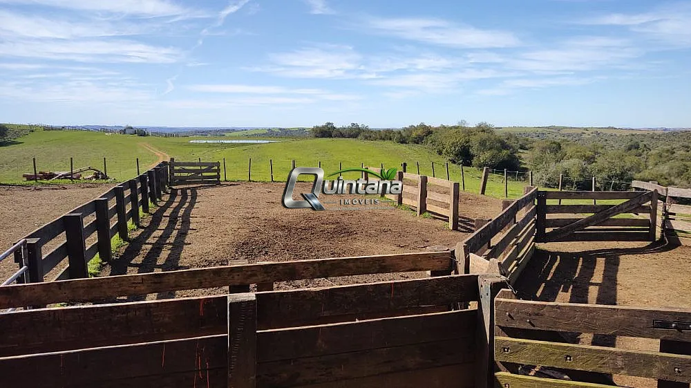 Fazenda, 520 hectares - Foto 8