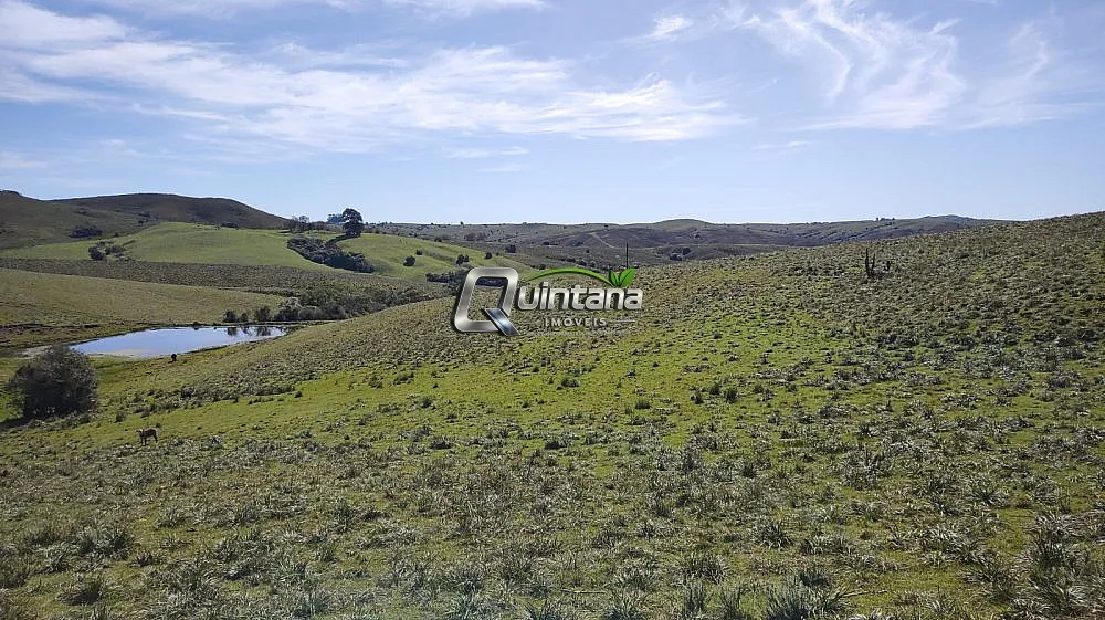 Fazenda, 520 hectares - Foto 3