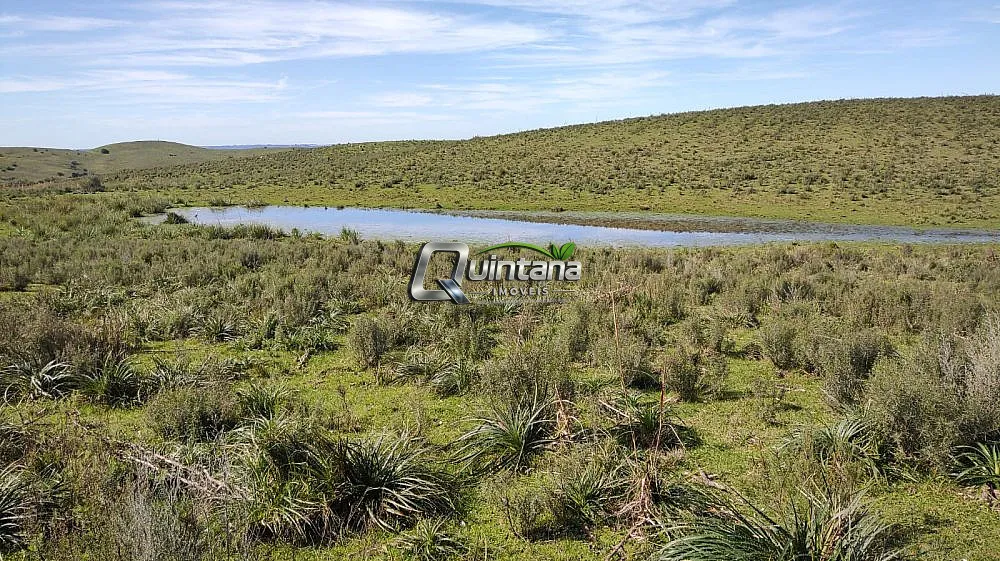 Fazenda, 520 hectares - Foto 15