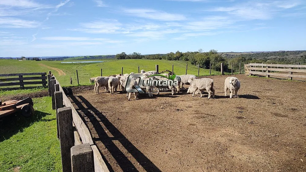 Fazenda, 520 hectares - Foto 12