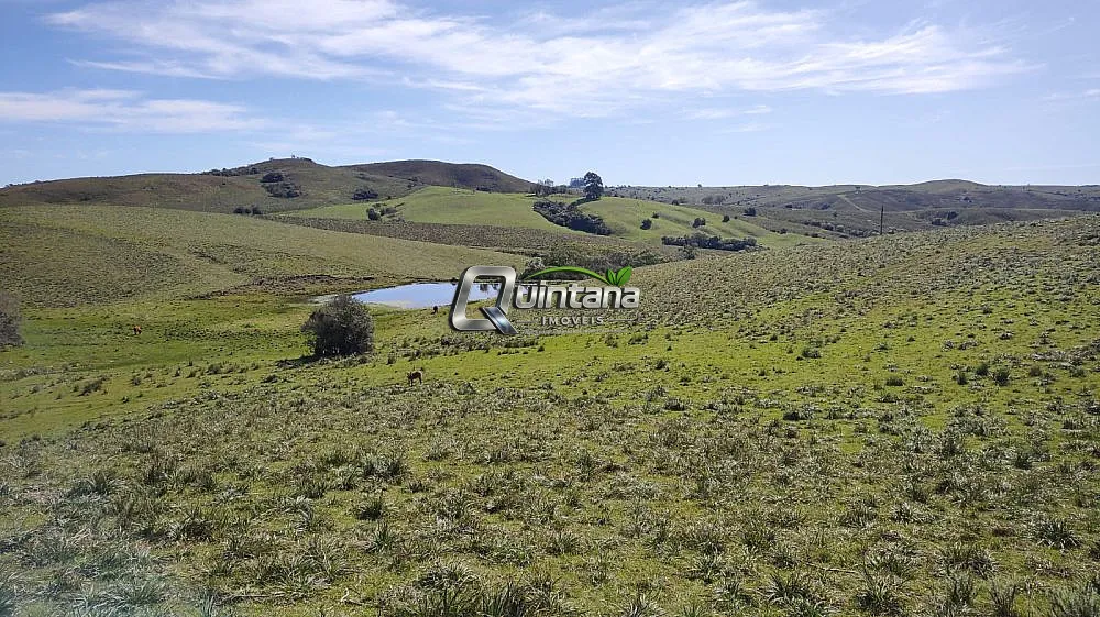 Fazenda, 520 hectares - Foto 13