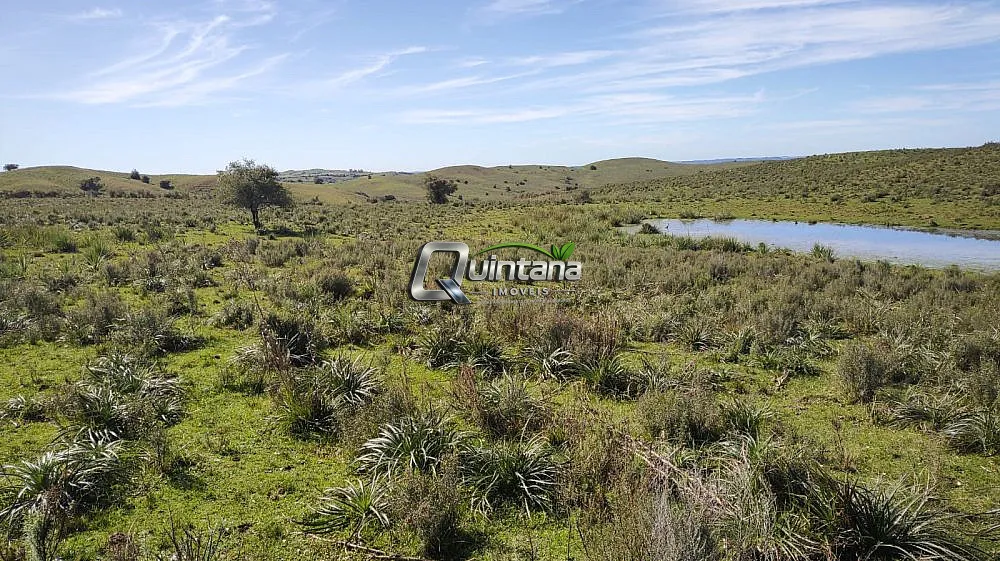 Fazenda, 520 hectares - Foto 4