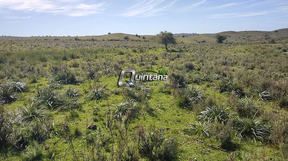 Fazenda, 520 hectares - Foto 11