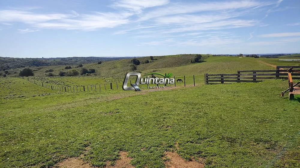 Fazenda, 520 hectares - Foto 14