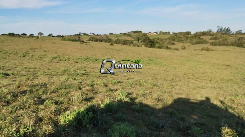 Fazenda, 76 hectares - Foto 4