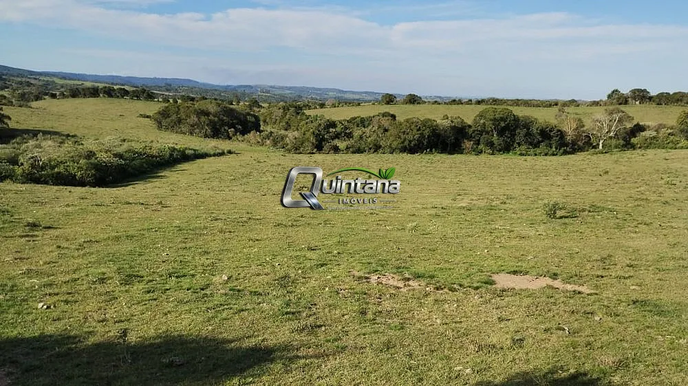 Fazenda, 76 hectares - Foto 3