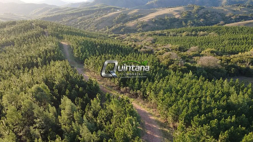 Fazenda, 180 hectares - Foto 2