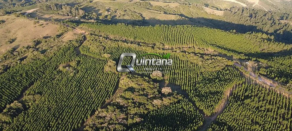 Fazenda, 180 hectares - Foto 1