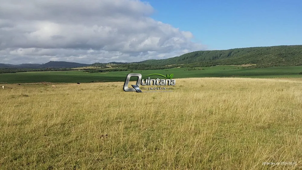 Fazenda, 550 hectares - Foto 4