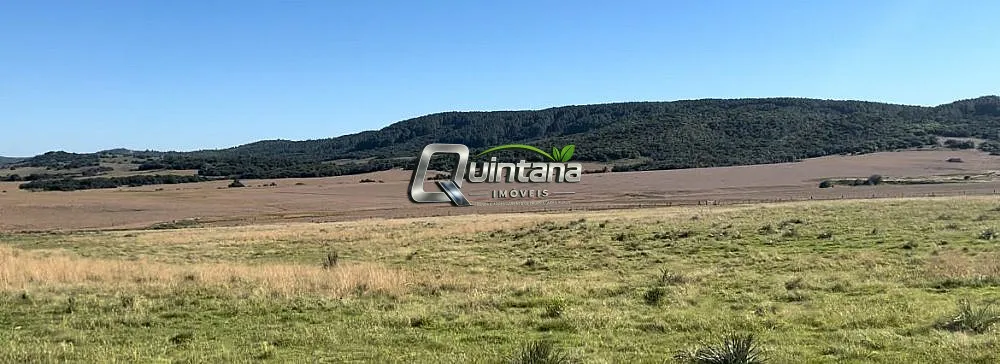Fazenda, 550 hectares - Foto 9
