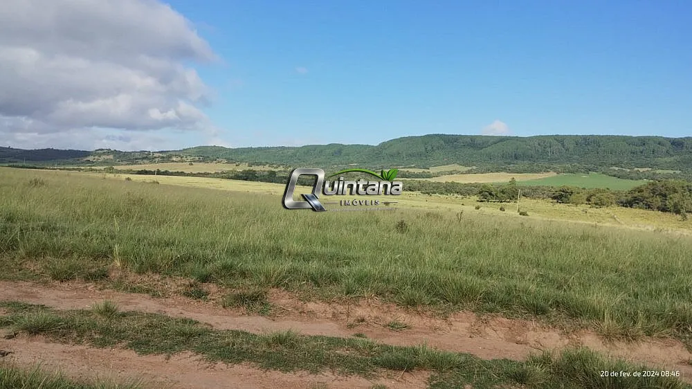 Fazenda, 550 hectares - Foto 2