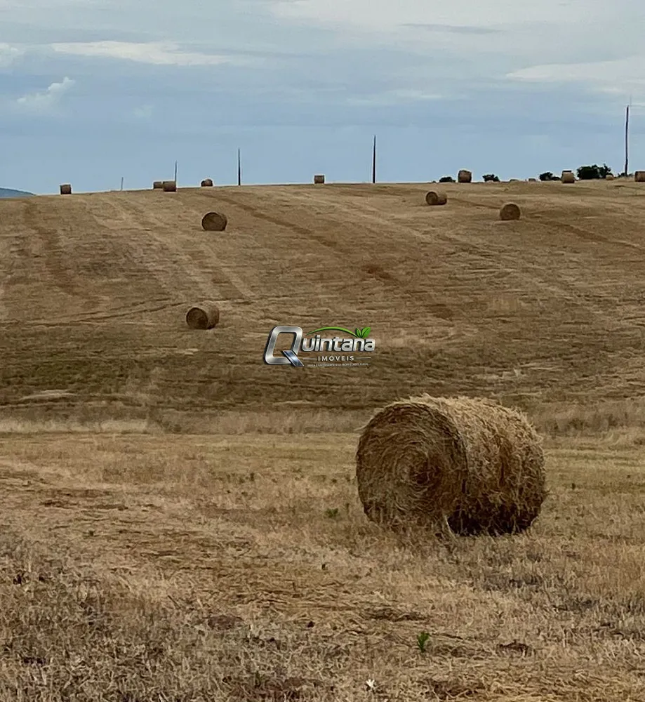 Fazenda, 550 hectares - Foto 3