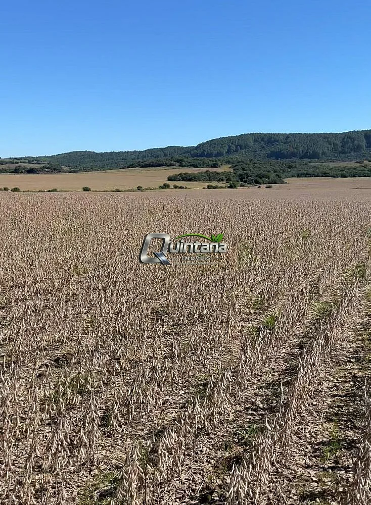 Fazenda, 550 hectares - Foto 1