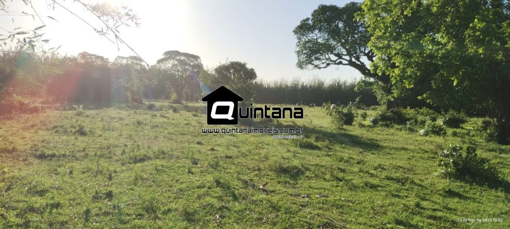 Fazenda à venda com 2 quartos, 700000m² - Foto 4