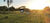 Fazenda, 70 hectares - Foto 1