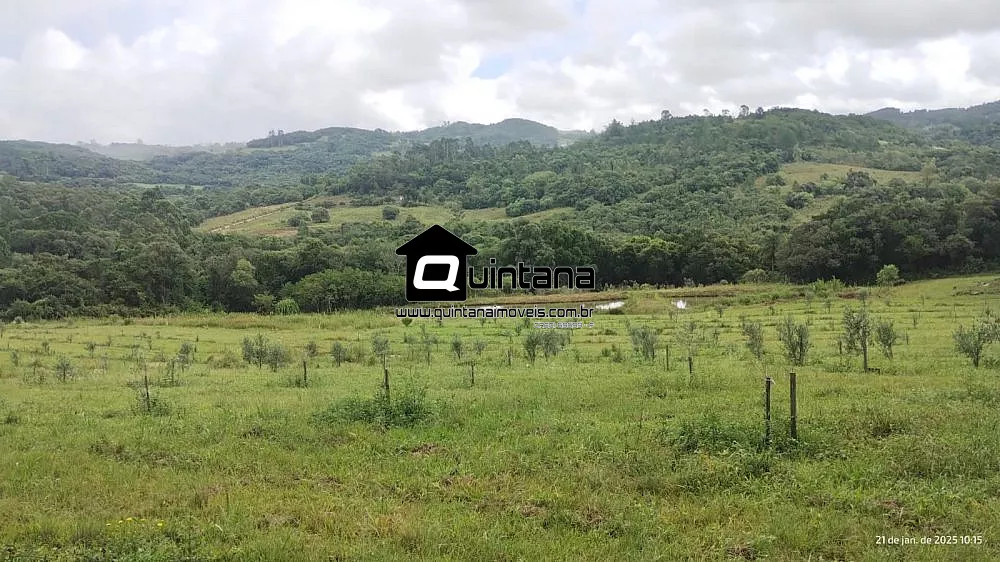 Sítio, 4 quartos, 38 hectares - Foto 1