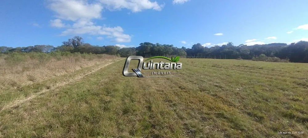 Sítio, 4 quartos, 38 hectares - Foto 13