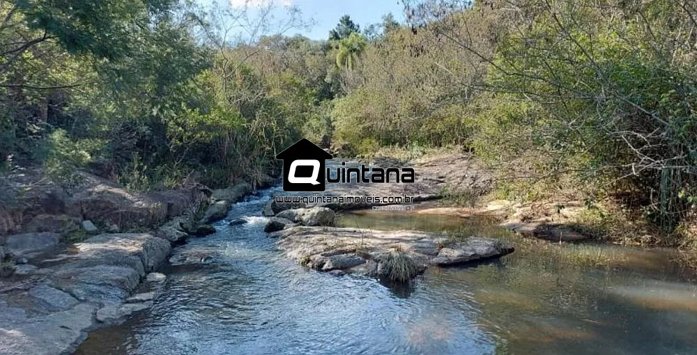 Sítio, 4 quartos, 38 hectares - Foto 4
