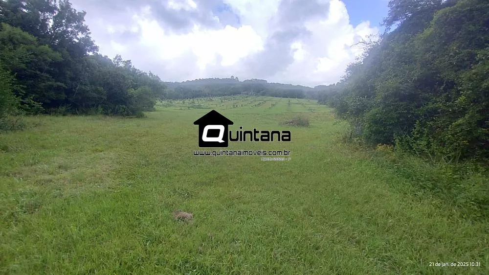 Sítio, 4 quartos, 38 hectares - Foto 6