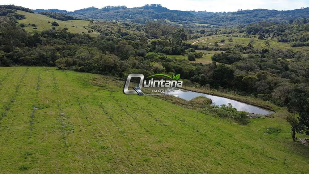 Sítio, 4 quartos, 38 hectares - Foto 6