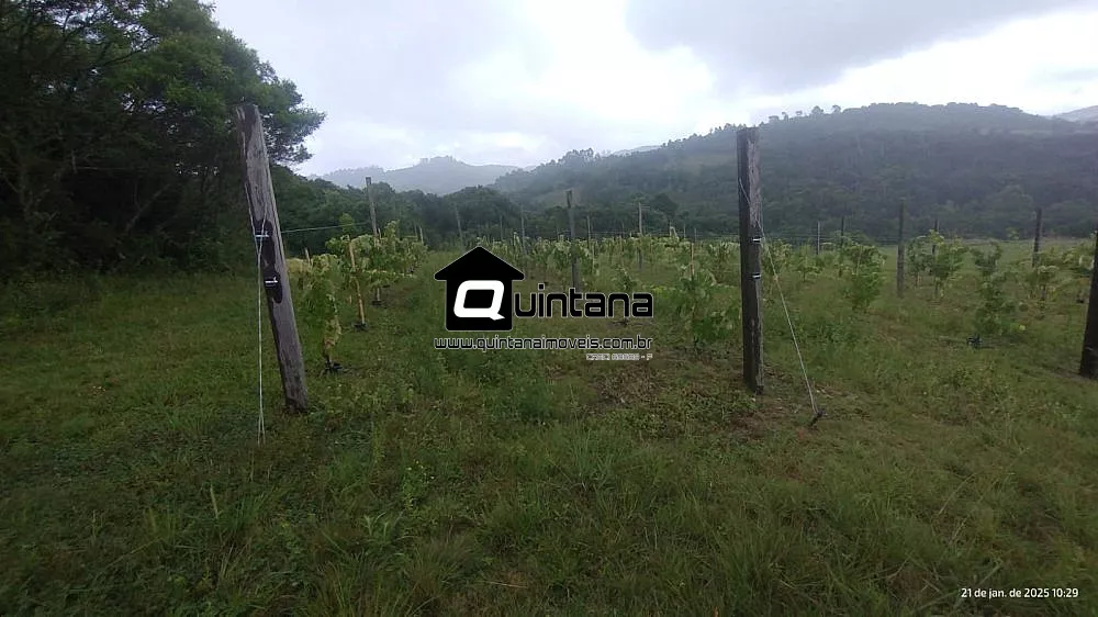 Sítio, 4 quartos, 38 hectares - Foto 2