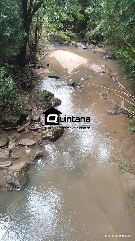 Sítio, 4 quartos, 38 hectares - Foto 8