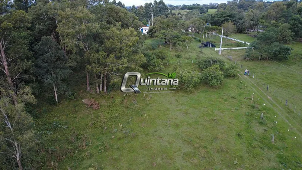 Chácara, 2 quartos, 3 hectares - Foto 3