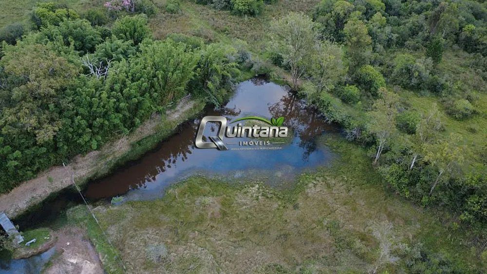 Chácara, 2 quartos, 3 hectares - Foto 6