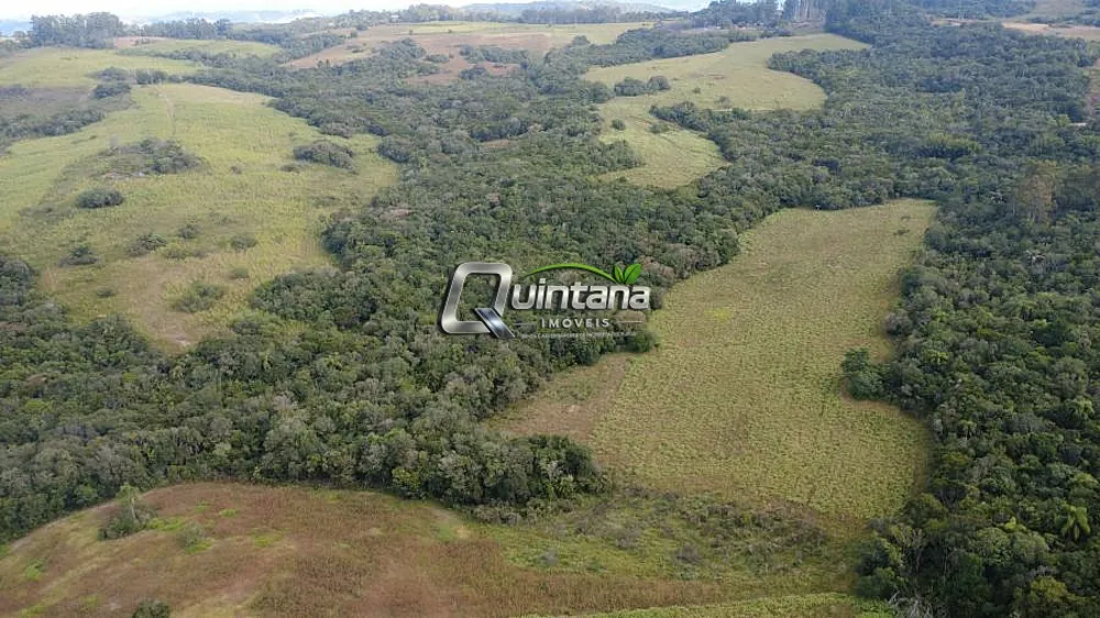 Fazenda, 95 hectares - Foto 2