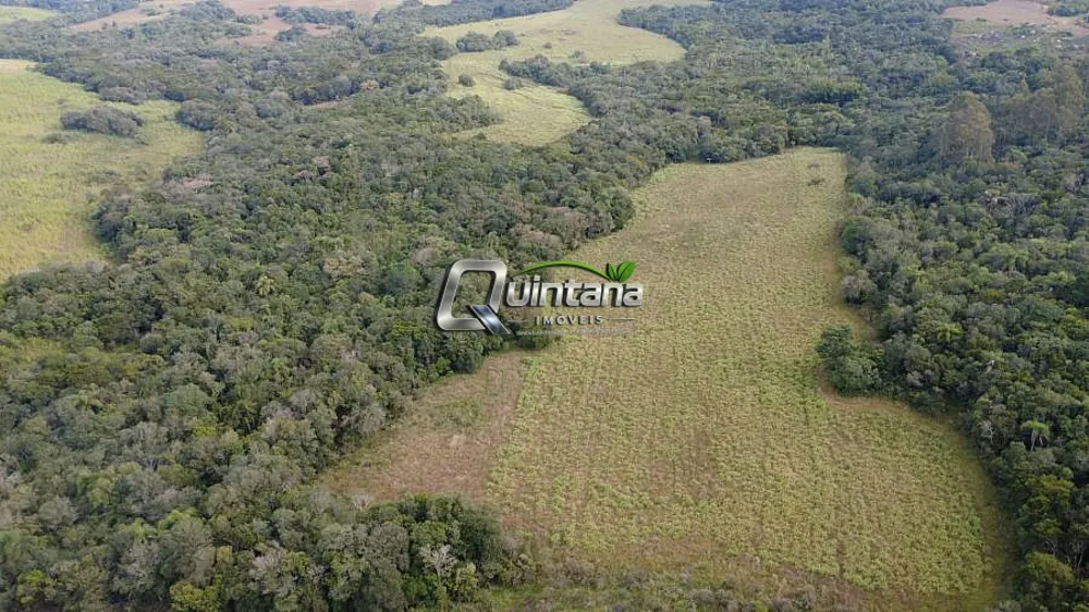 Fazenda, 95 hectares - Foto 16