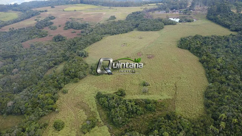 Fazenda, 95 hectares - Foto 8