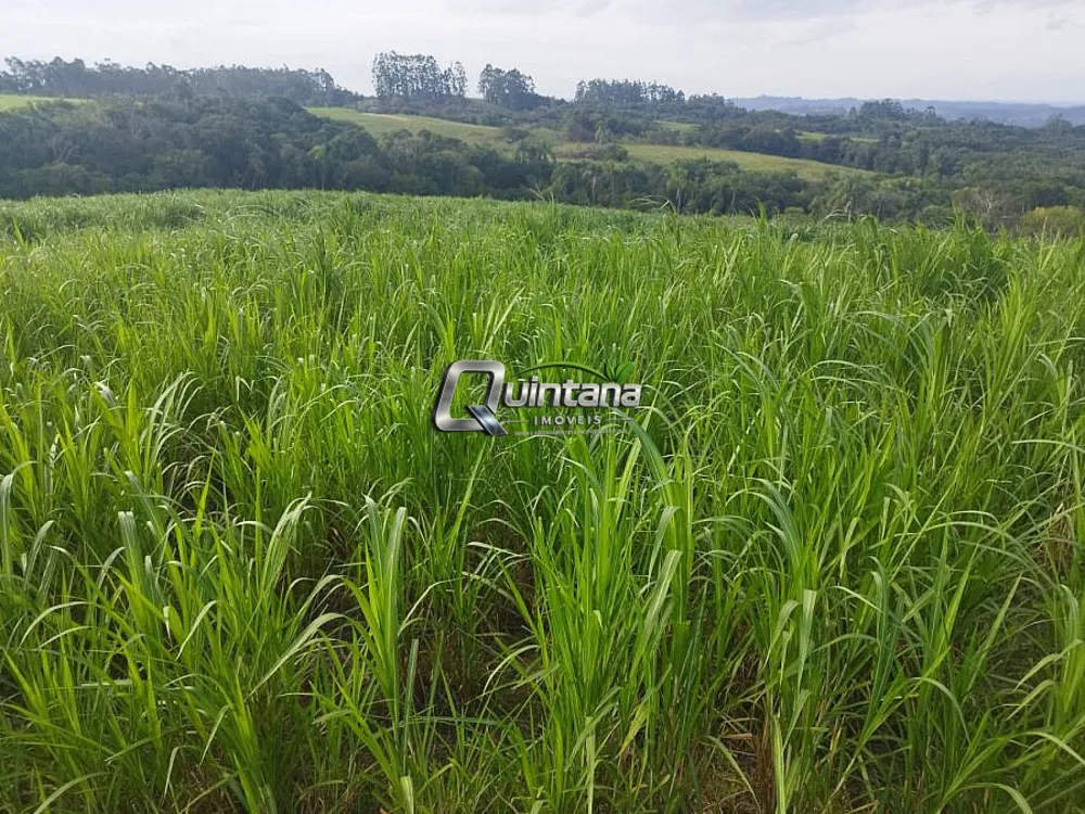 Fazenda, 95 hectares - Foto 4