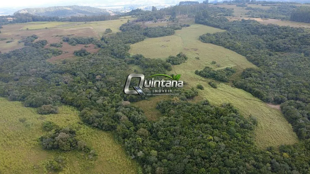 Fazenda, 95 hectares - Foto 7