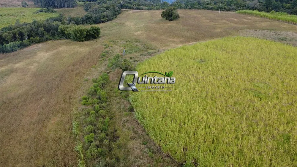 Fazenda, 95 hectares - Foto 10