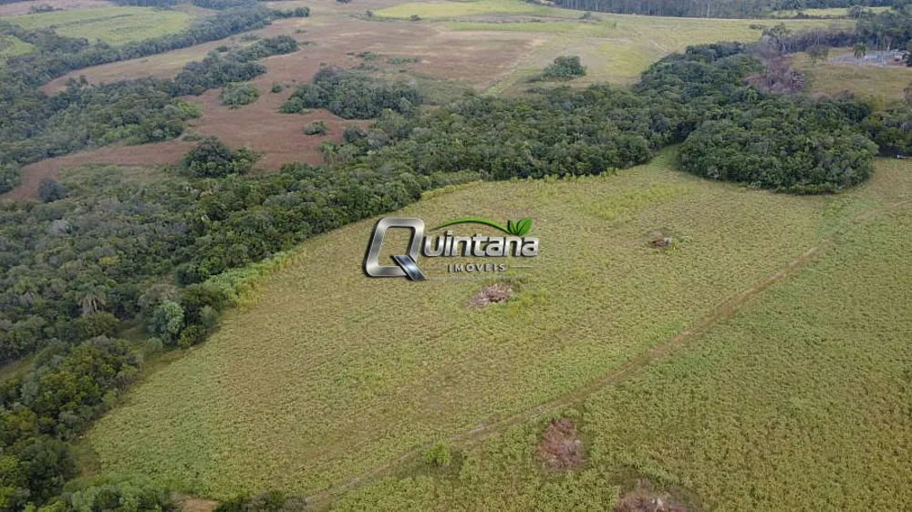 Fazenda, 95 hectares - Foto 9