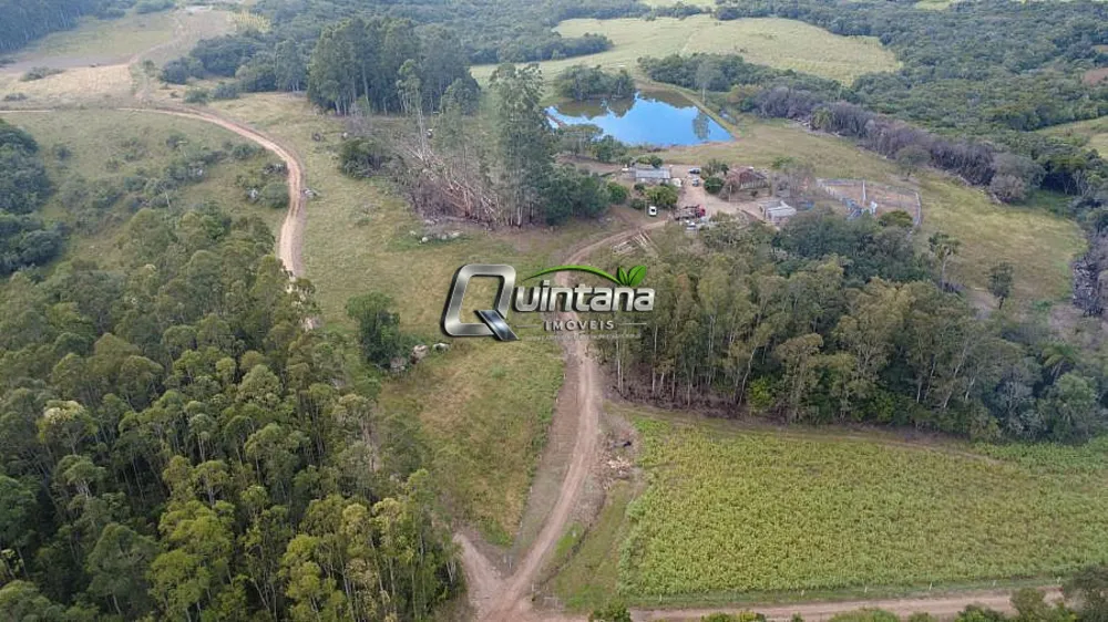 Fazenda, 95 hectares - Foto 6
