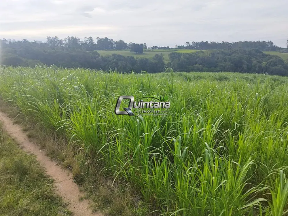 Fazenda, 95 hectares - Foto 3