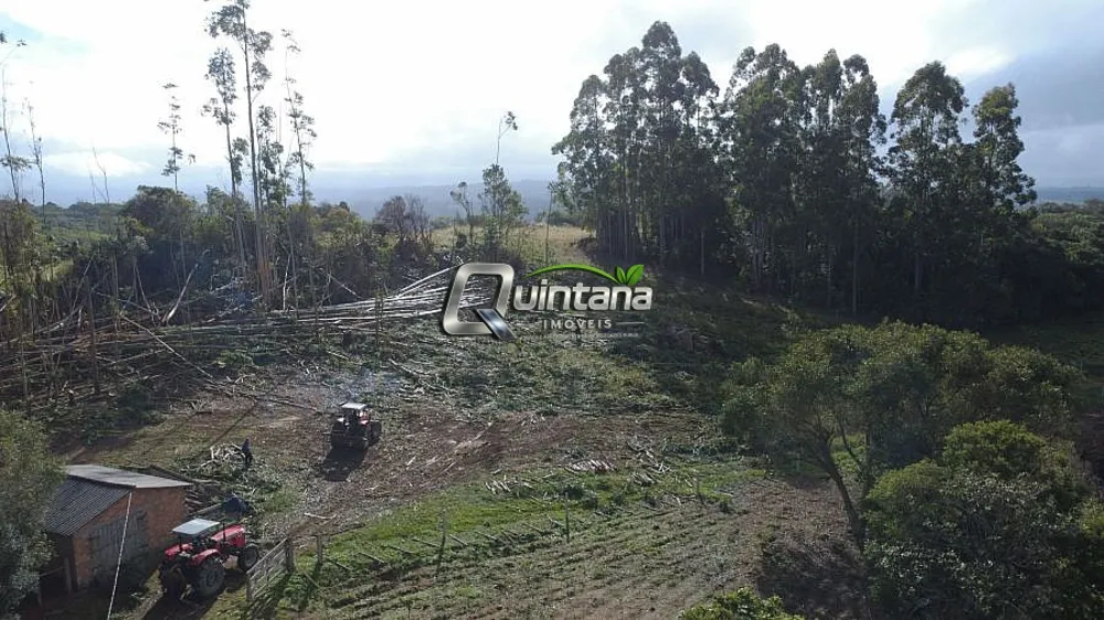 Fazenda, 95 hectares - Foto 15
