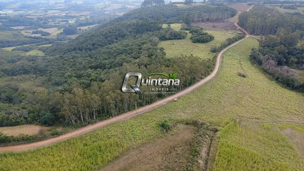 Fazenda, 95 hectares - Foto 5