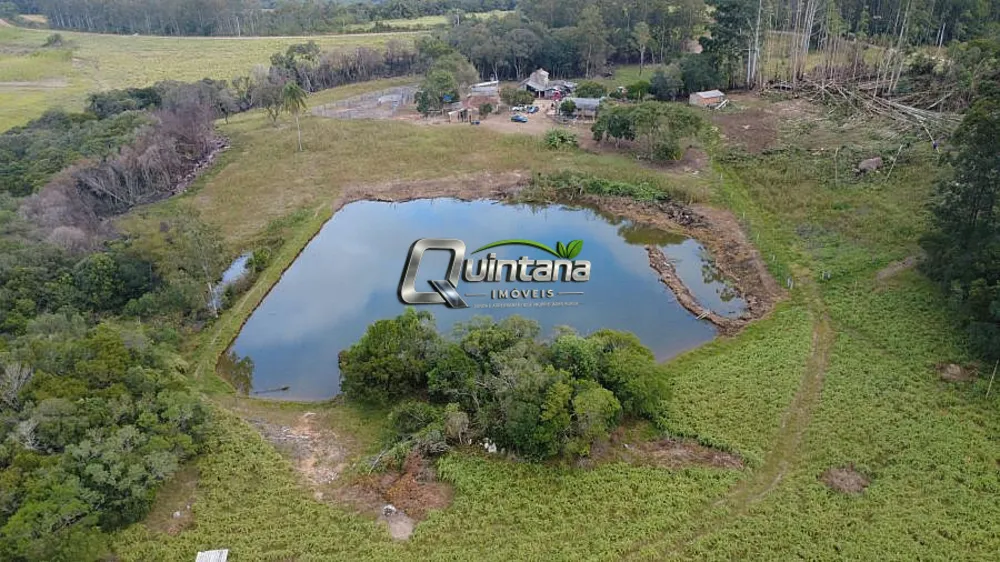 Fazenda, 95 hectares - Foto 3
