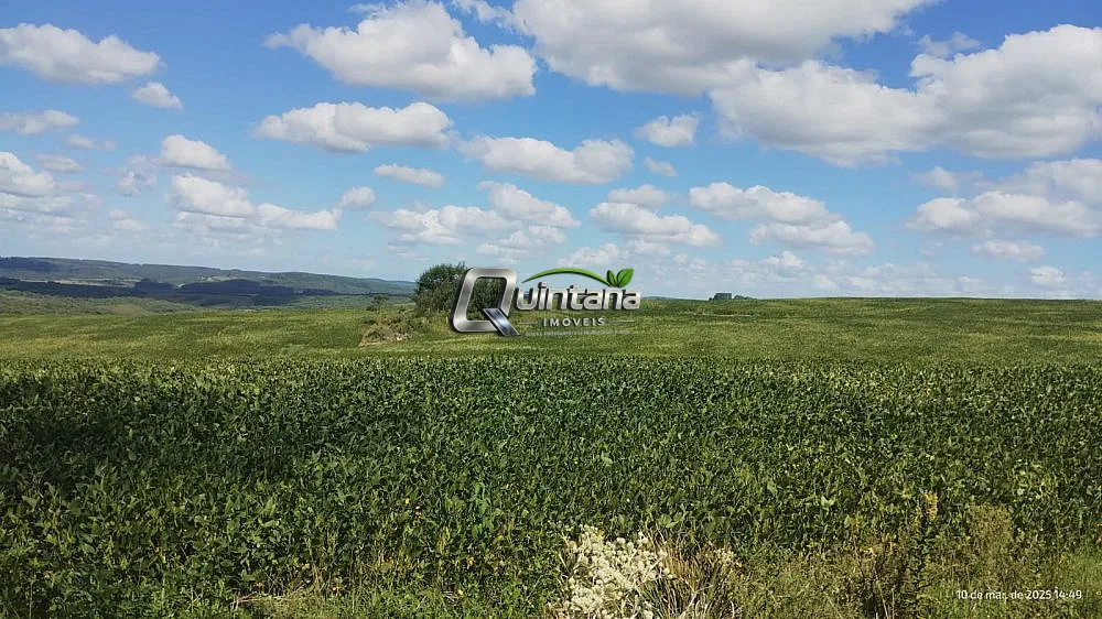 Fazenda, 288 hectares - Foto 7