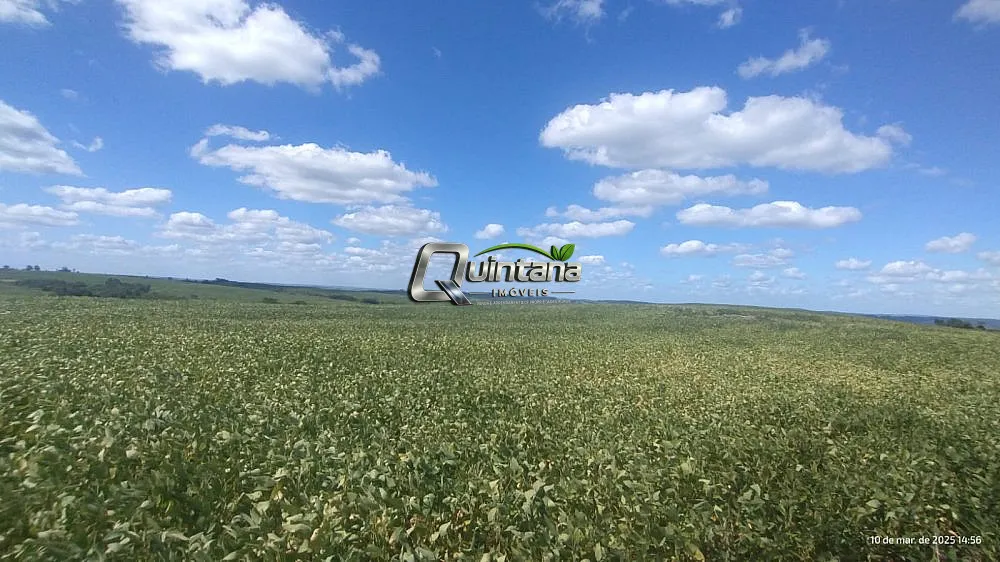 Fazenda, 288 hectares - Foto 1