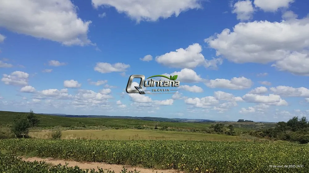 Fazenda, 288 hectares - Foto 3