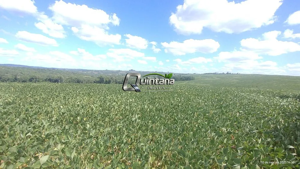 Fazenda, 288 hectares - Foto 6