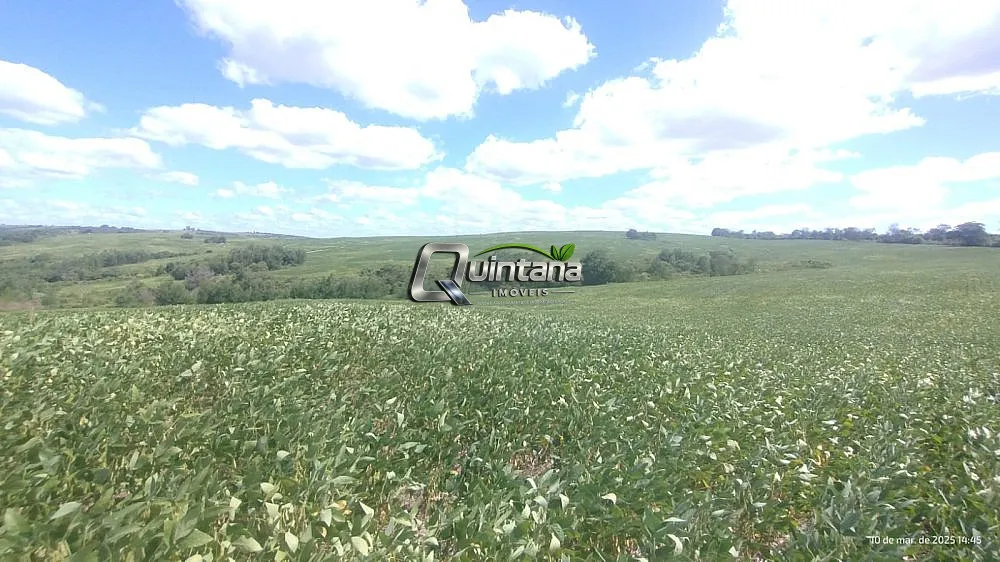 Fazenda, 288 hectares - Foto 5
