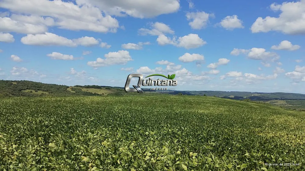 Fazenda, 288 hectares - Foto 9